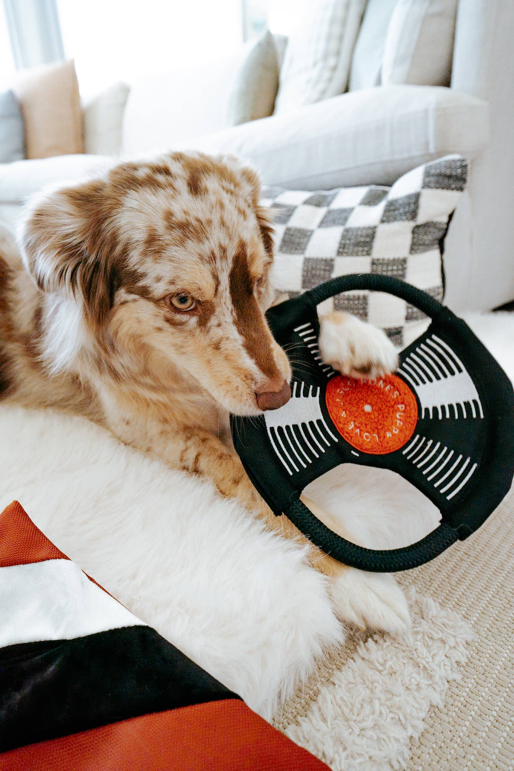 Lambwolf Collective - BARK TO BEAT //ENRICHMENT DOG TOY
