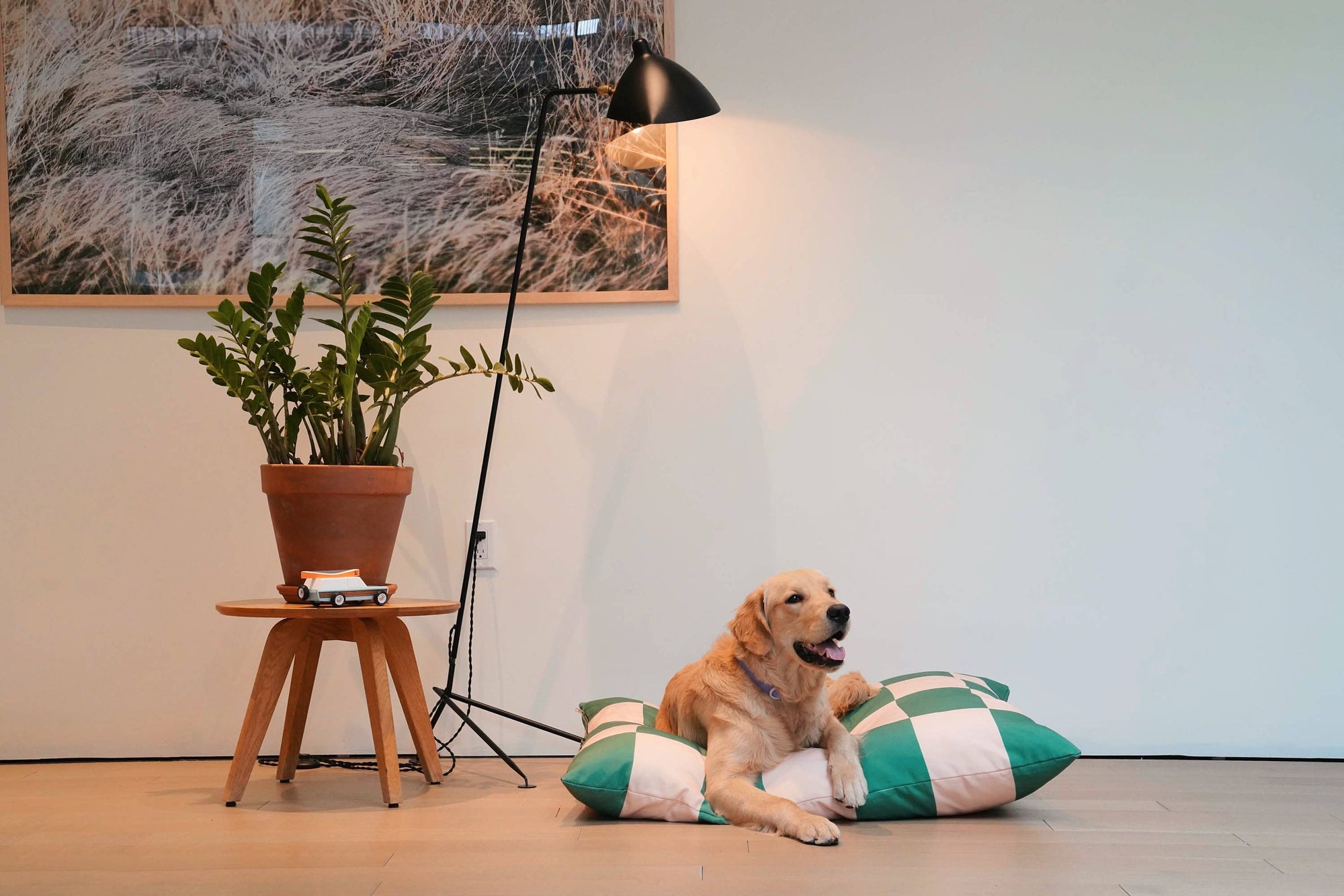 Approved by Fritz - USA - The Fritz Dog Bed | Recycled | Machine Washable: Checkered / Grande