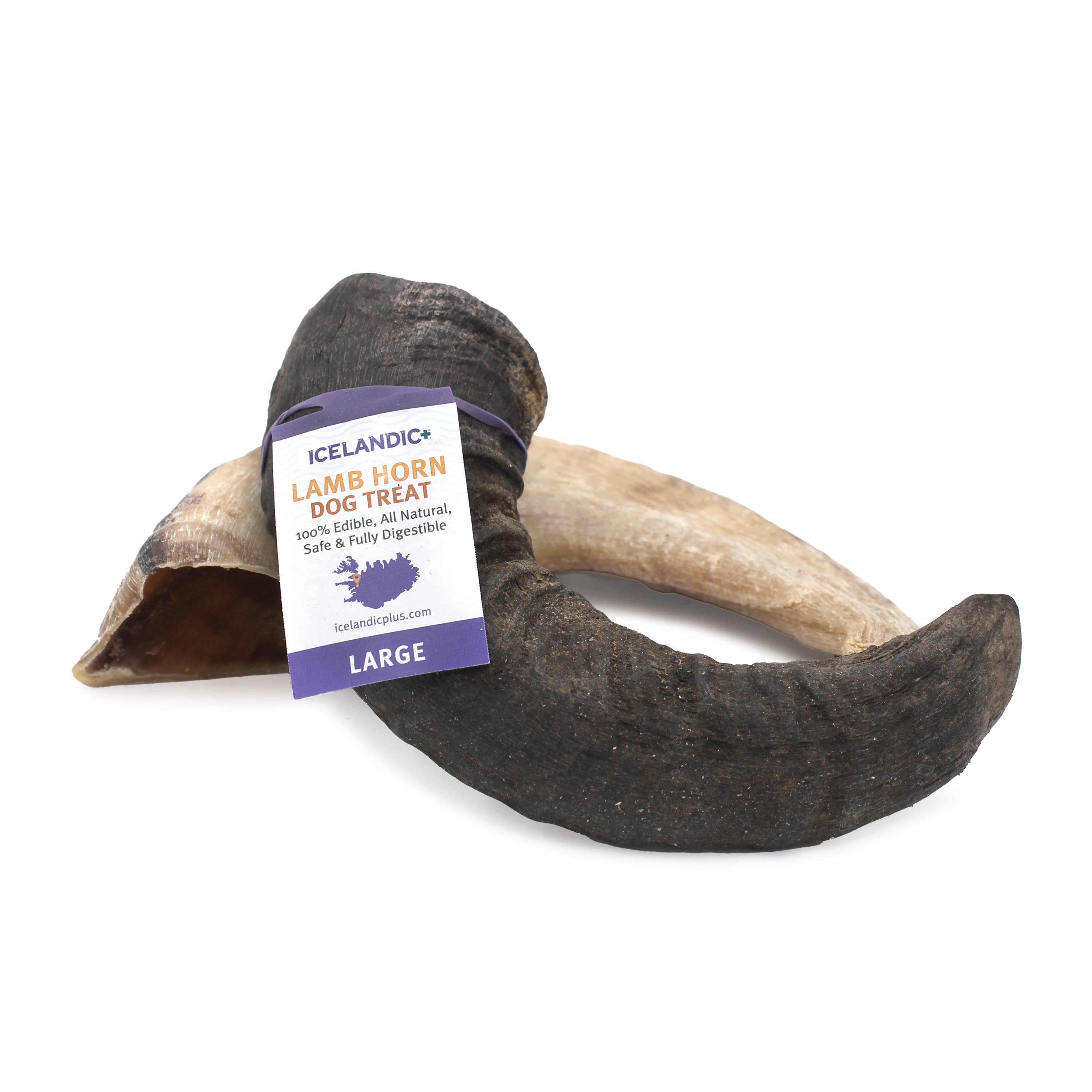 Icelandic+ - Icelandic+ Large Lamb Horn Dog Treat: 1-ct (single)