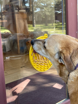 SodaPup - Sun n' Sea eMat Enrichment Lick Mat With Suction Cups: Yellow