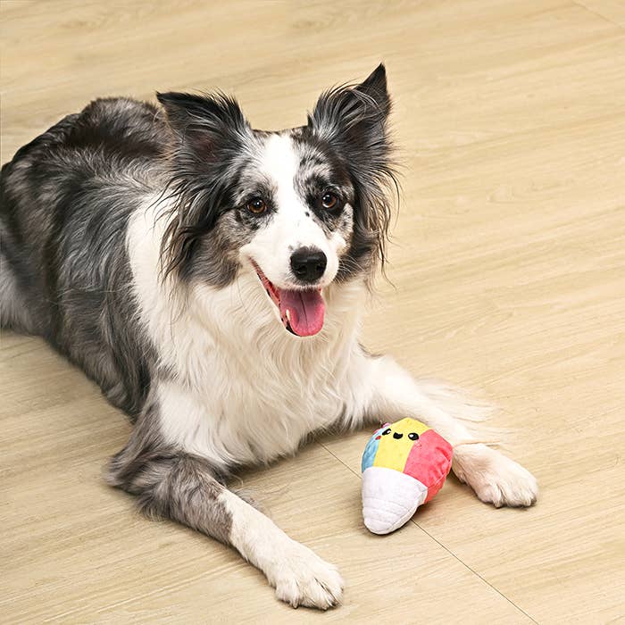 Hugsmart Products Inc - Beach Daze Shaved Ice Dog Ball Toy