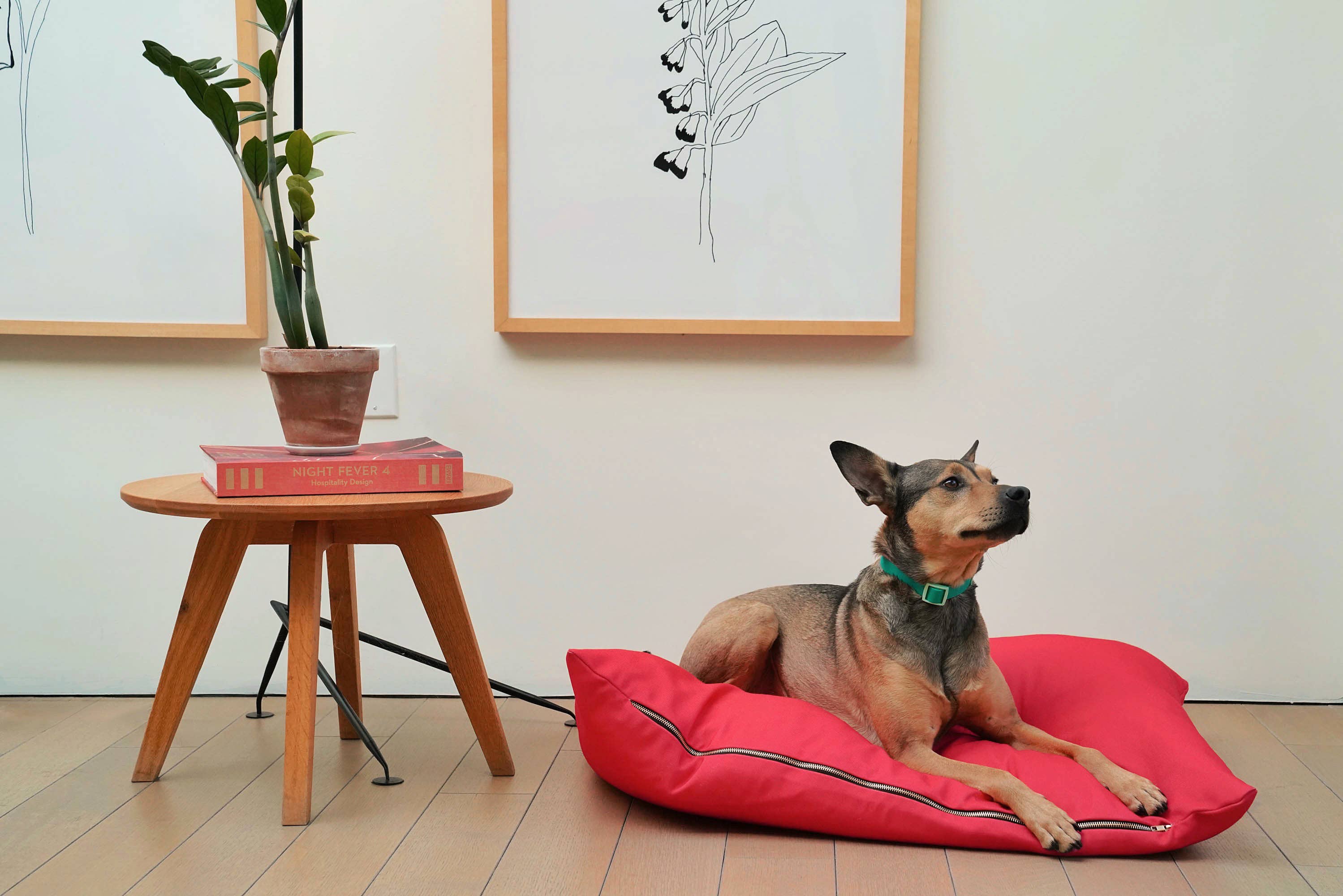 Approved by Fritz - USA - The Fritz Dog Bed | Recycled | Machine Washable: Checkered / Grande