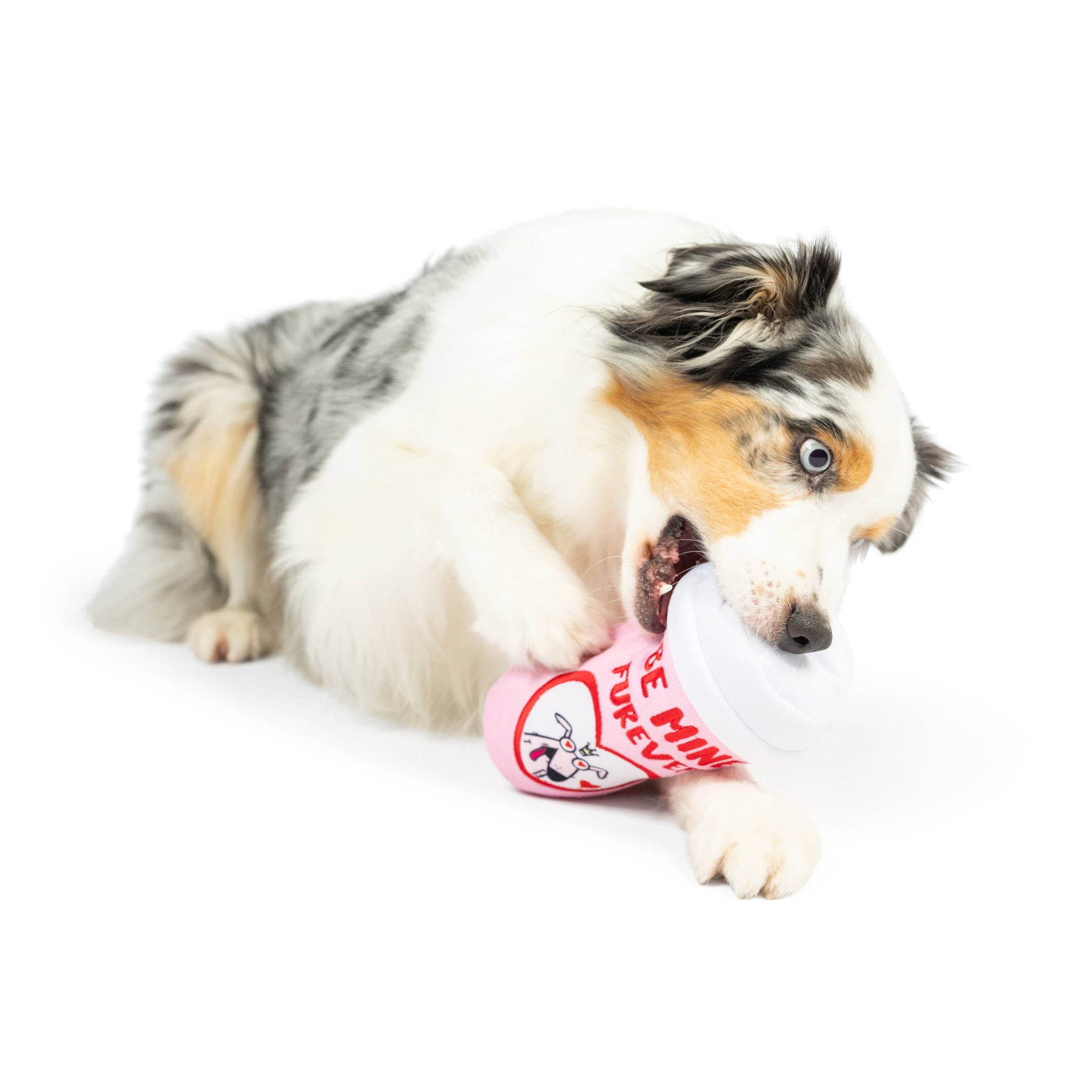 Huxley & Kent - Be Mine Furever Latte Dog Toy (Double Sided): Large