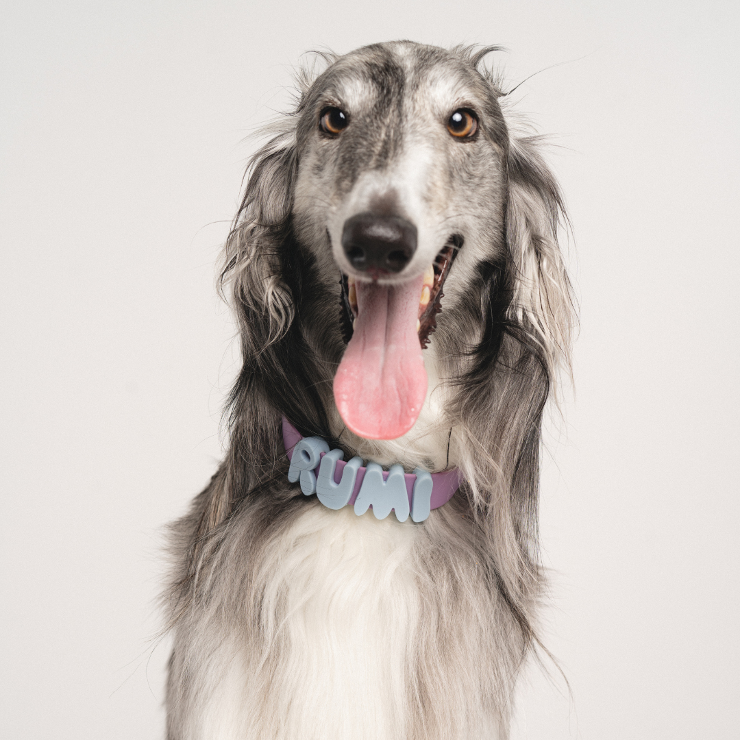 Springland Pets - Silicone Dog Charms, Personalize Pet Collar (63 Pack Assort): Lilac