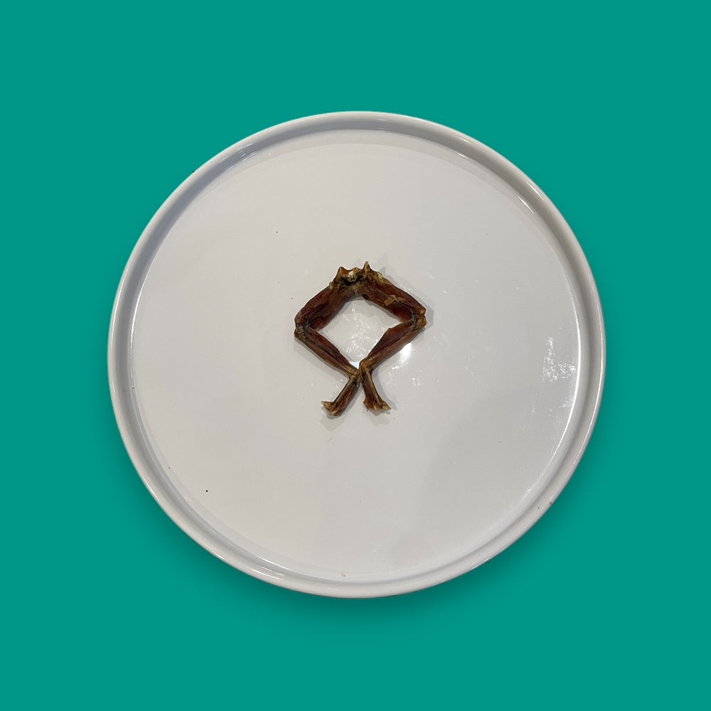 Pair of Frog Legs – Pet Power Studio