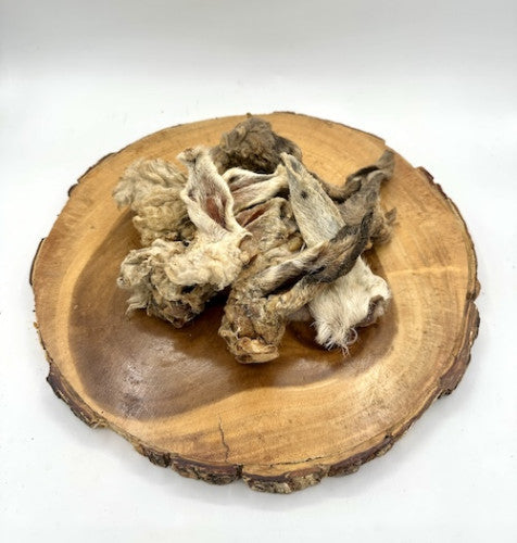 Hairy Lamb Ear