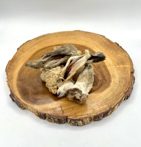 Hairy Lamb Ear