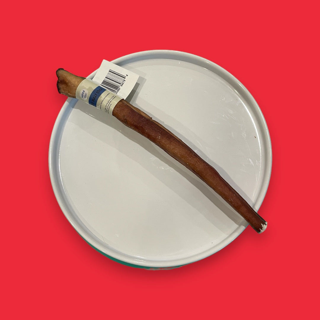 Jumbo USA Bully Stick 10-12” | Mika and Sammy's "Chew Bar"
