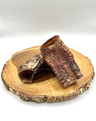Anderson's Bison Trachea Half