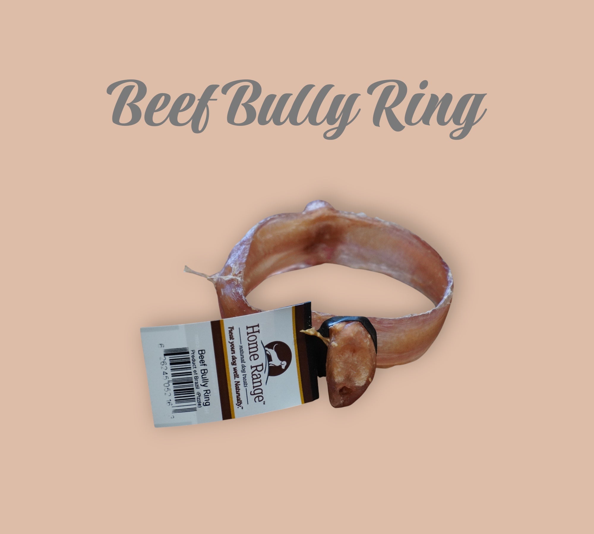 Pet Power Studio beef bully ring dog treat made from durable natural beef for long-lasting chewing