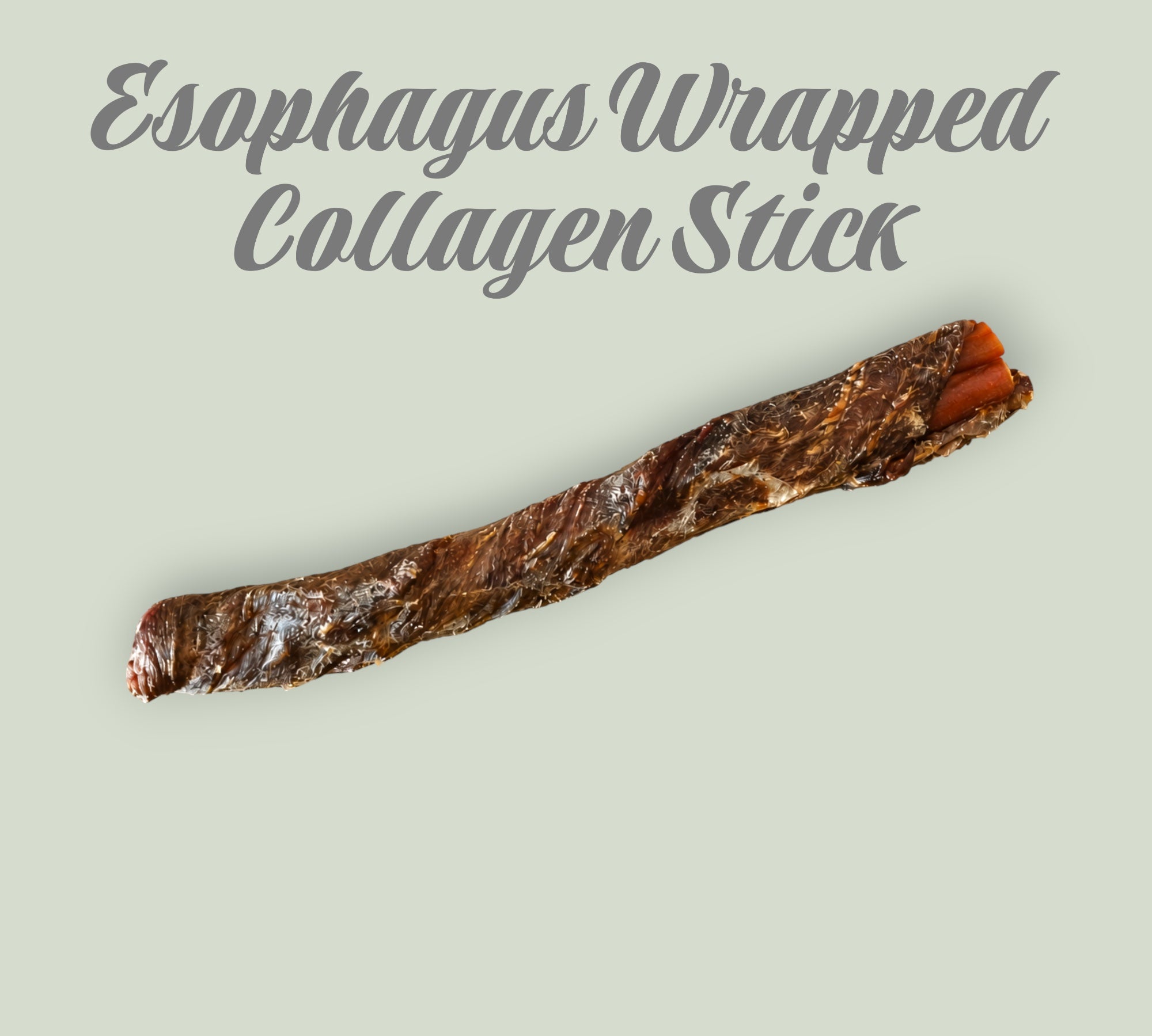 Pet Power Studio esophagus wrapped beef collagen stick dog treat on a light green background