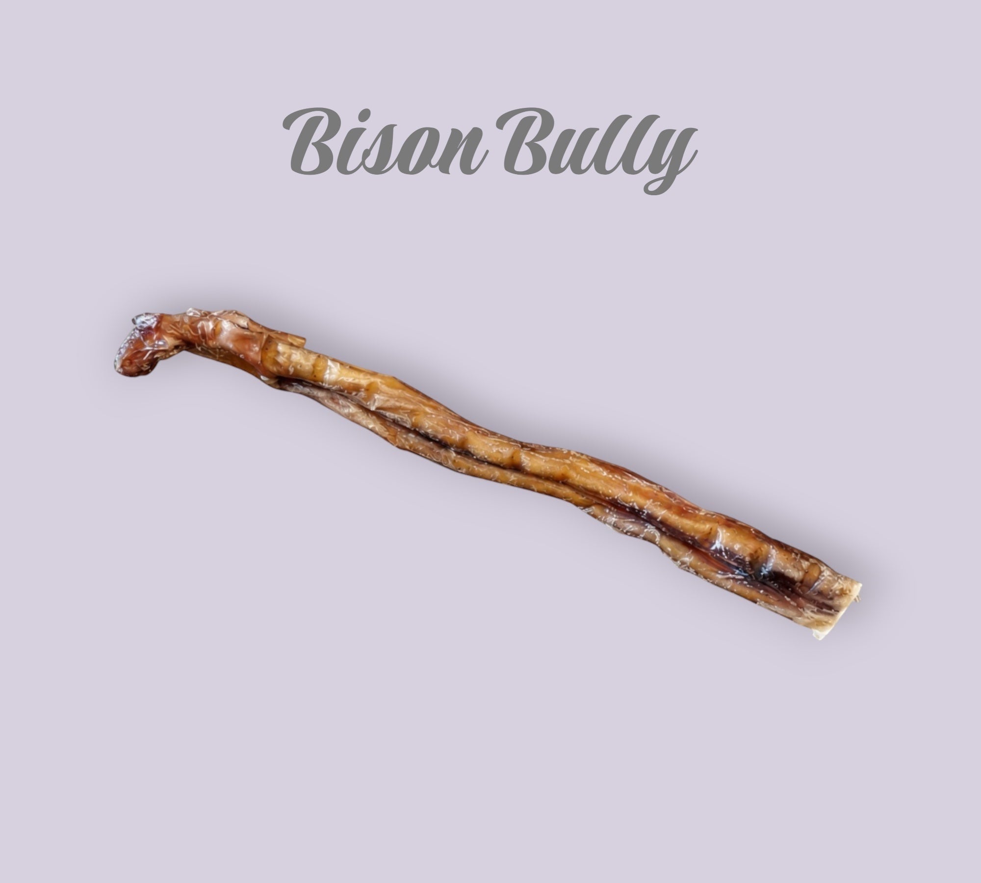 Pet Power Studio 12-inch natural bison bully stick dog chew treat
