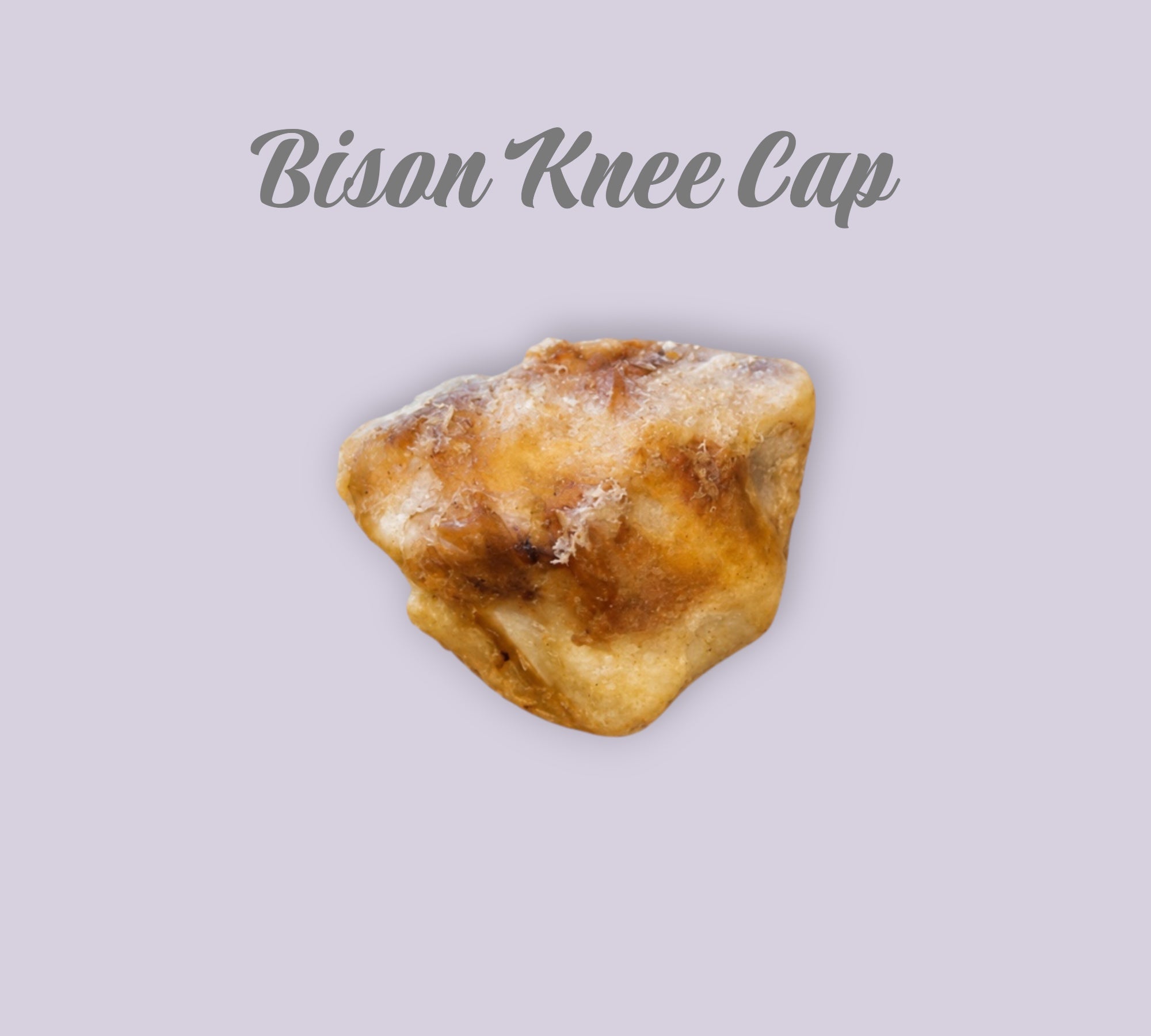 Pet Power Studio slow-baked bison knee cap dog chew for dental health