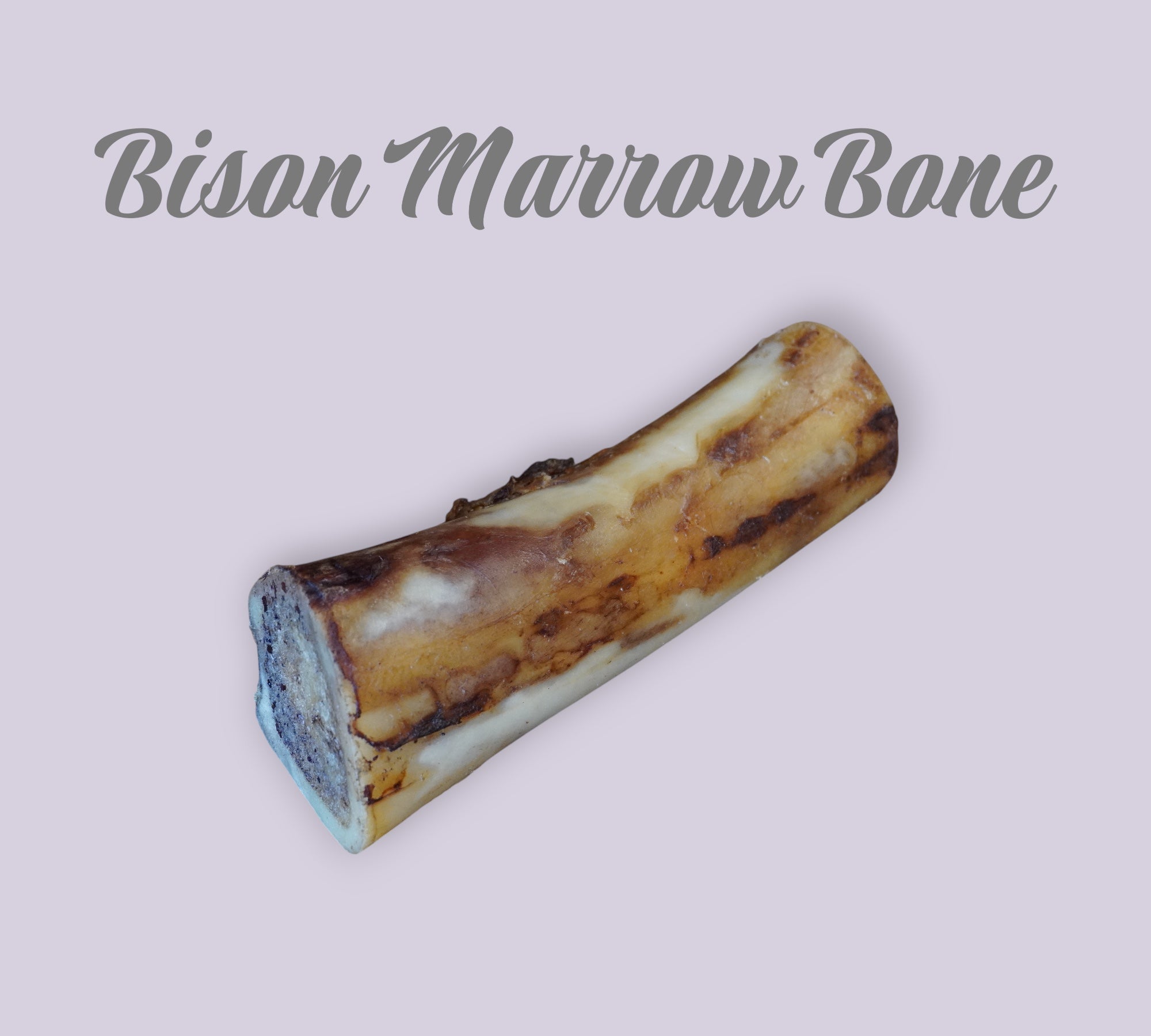 Pet Power Studio large 6-8 inch slow-roasted bison marrow bone for dogs on a light background