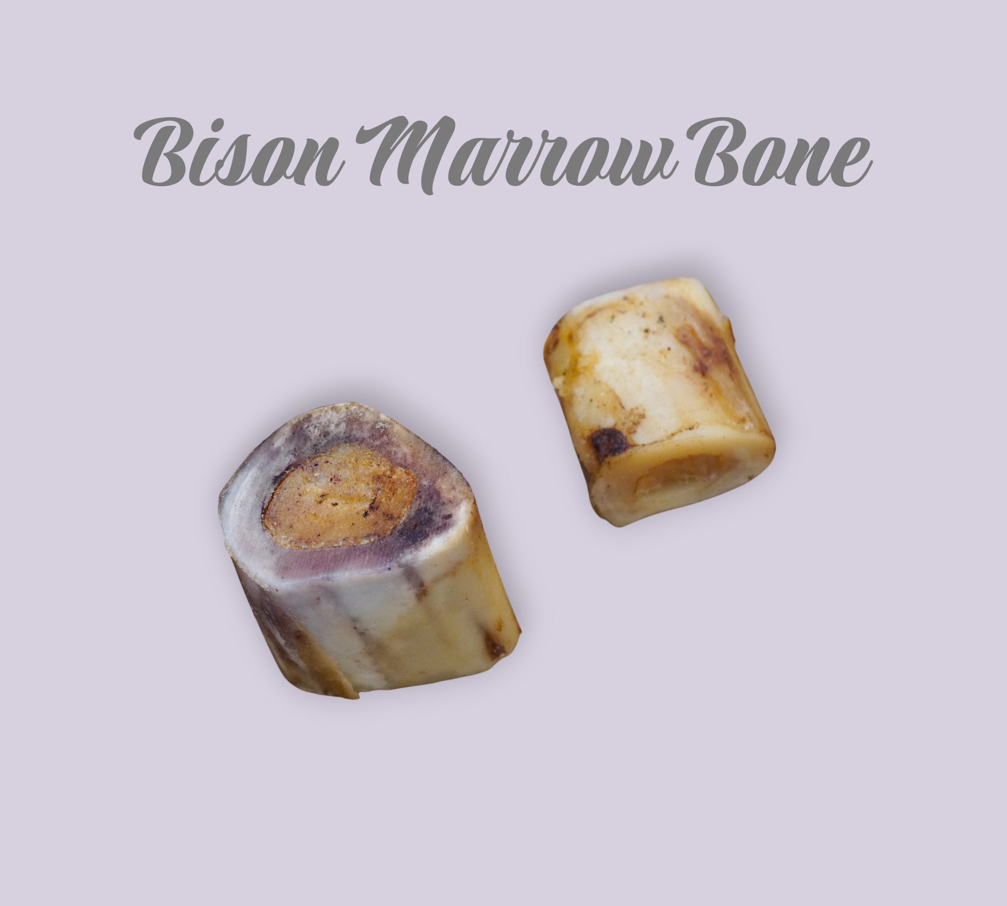 Pet Power Studio 2-inch slow-roasted bison marrow bone dog treat for long-lasting chewing