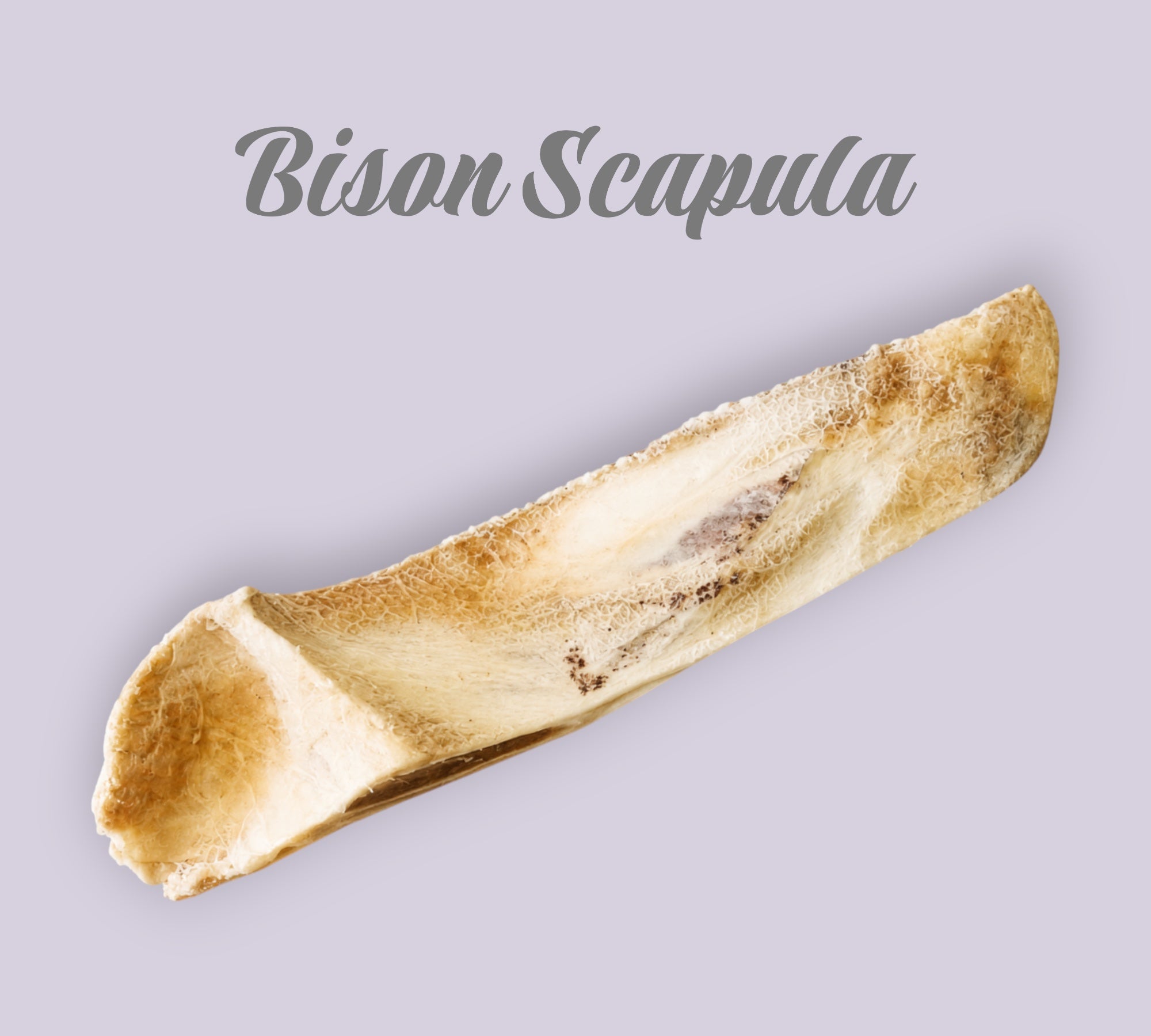 Pet Power Studio freeze-dried bison scapula dog chew for dental health and long-lasting mental stimulation.