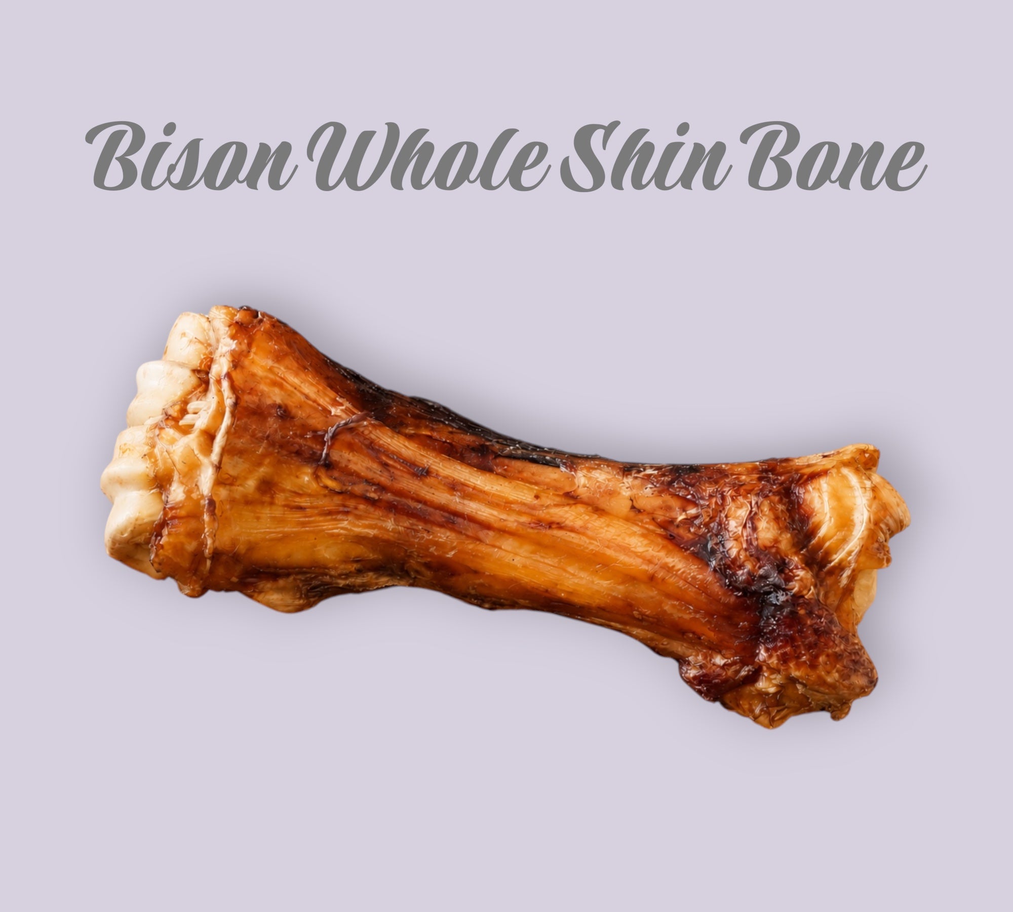 Pet Power Studio natural slow-roasted bison whole shin bone dog chew for dental health and long-lasting entertainment