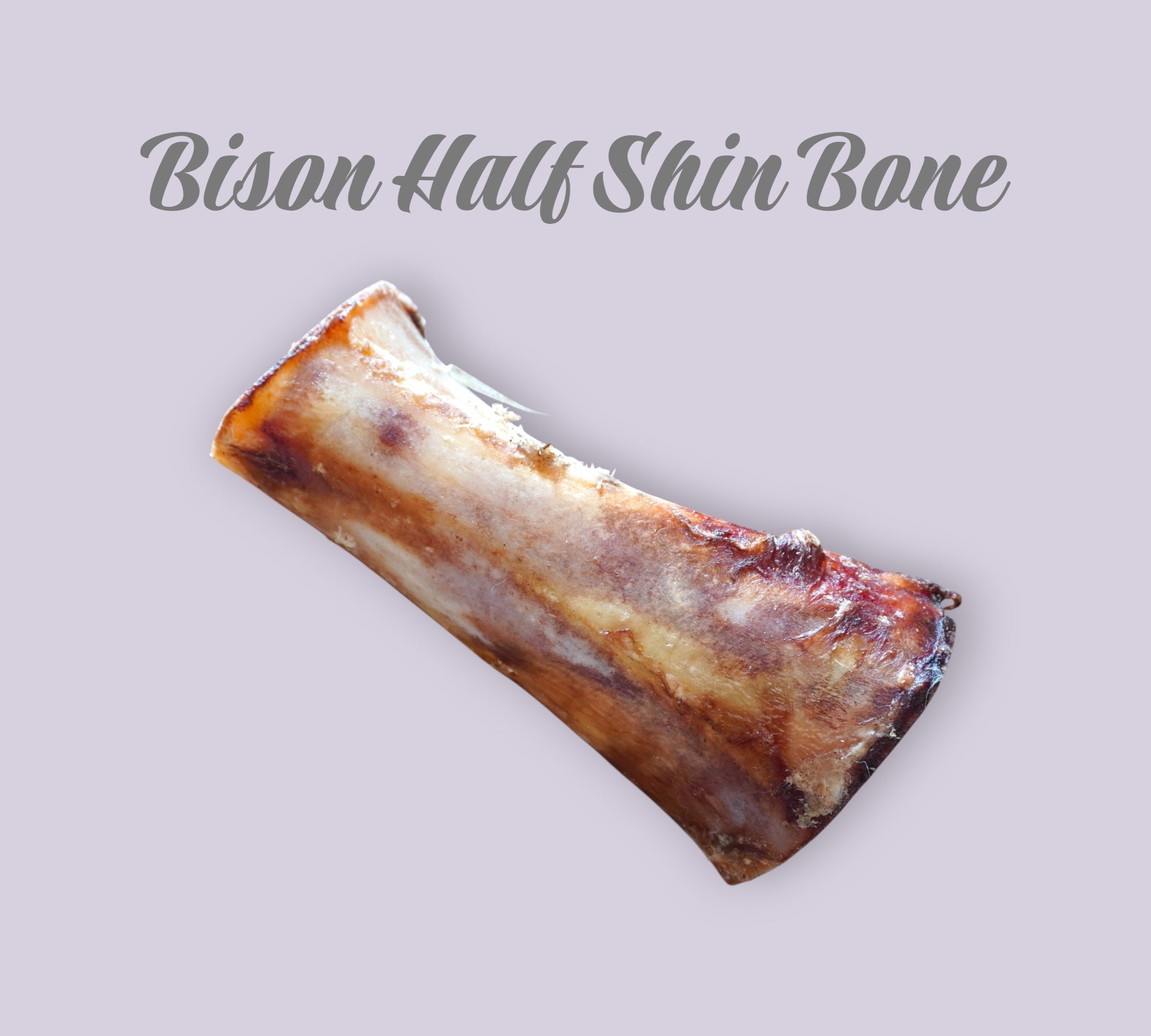 Pet Power Studio grass-fed bison half shin bone dog chew, a natural beef bone treat for pets.