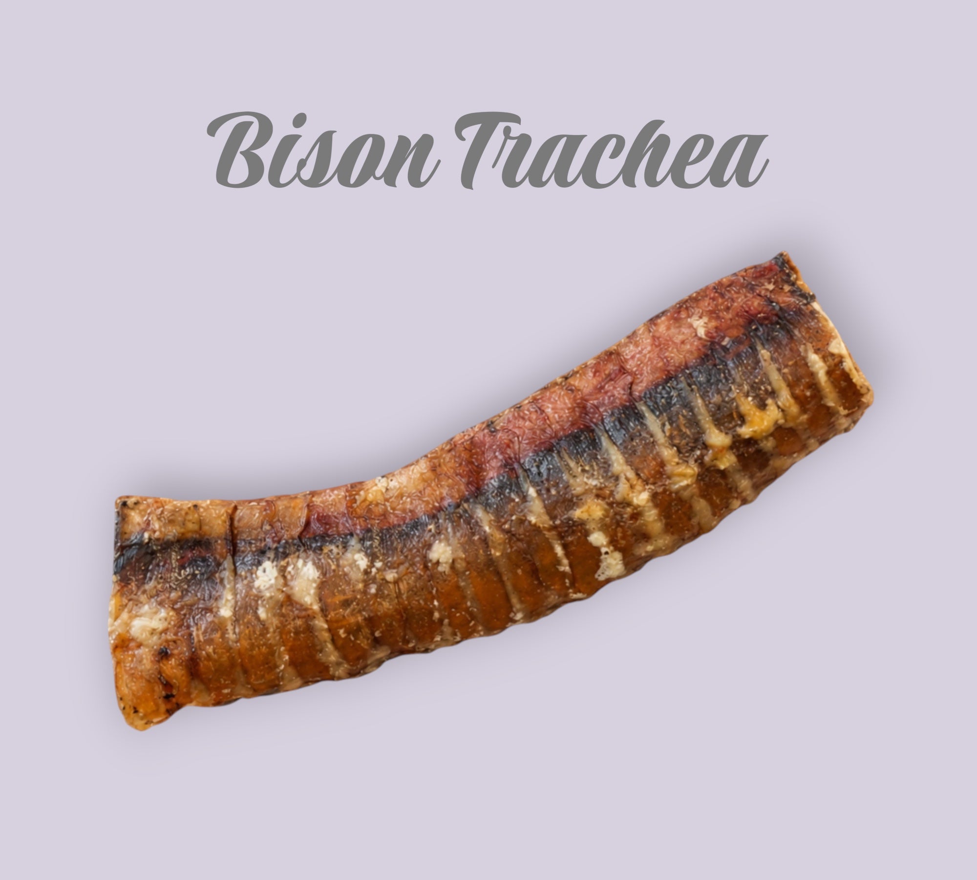 Pet Power Studio air-dried bison trachea dog chew for joint health support