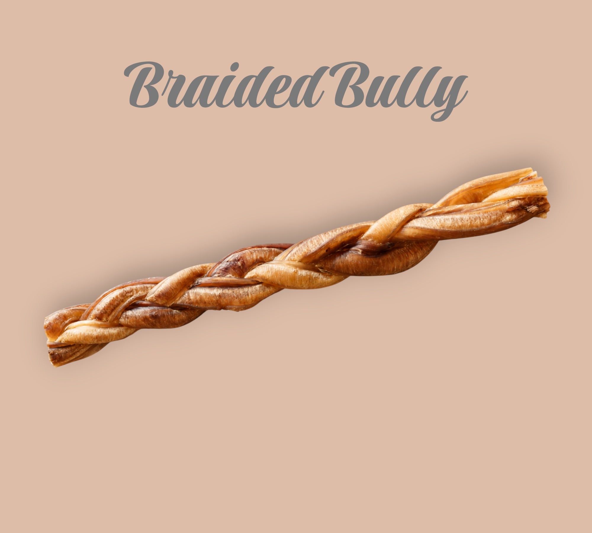 Pet Power Studio 12-inch braided bully stick, a natural, single-ingredient dog chew made from grass-fed cattle.
