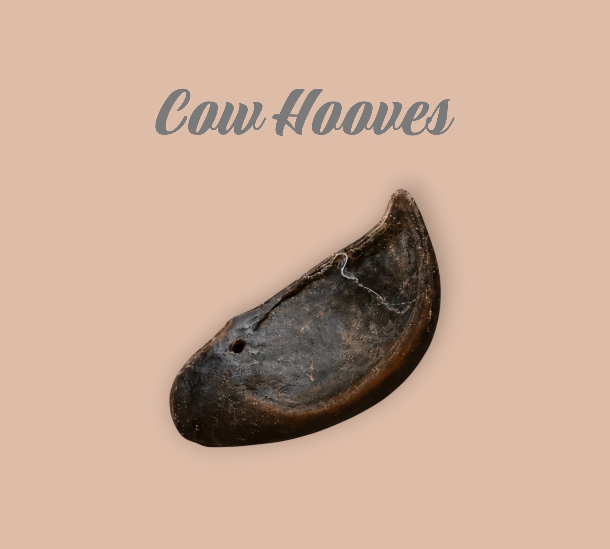 Cow Hooves