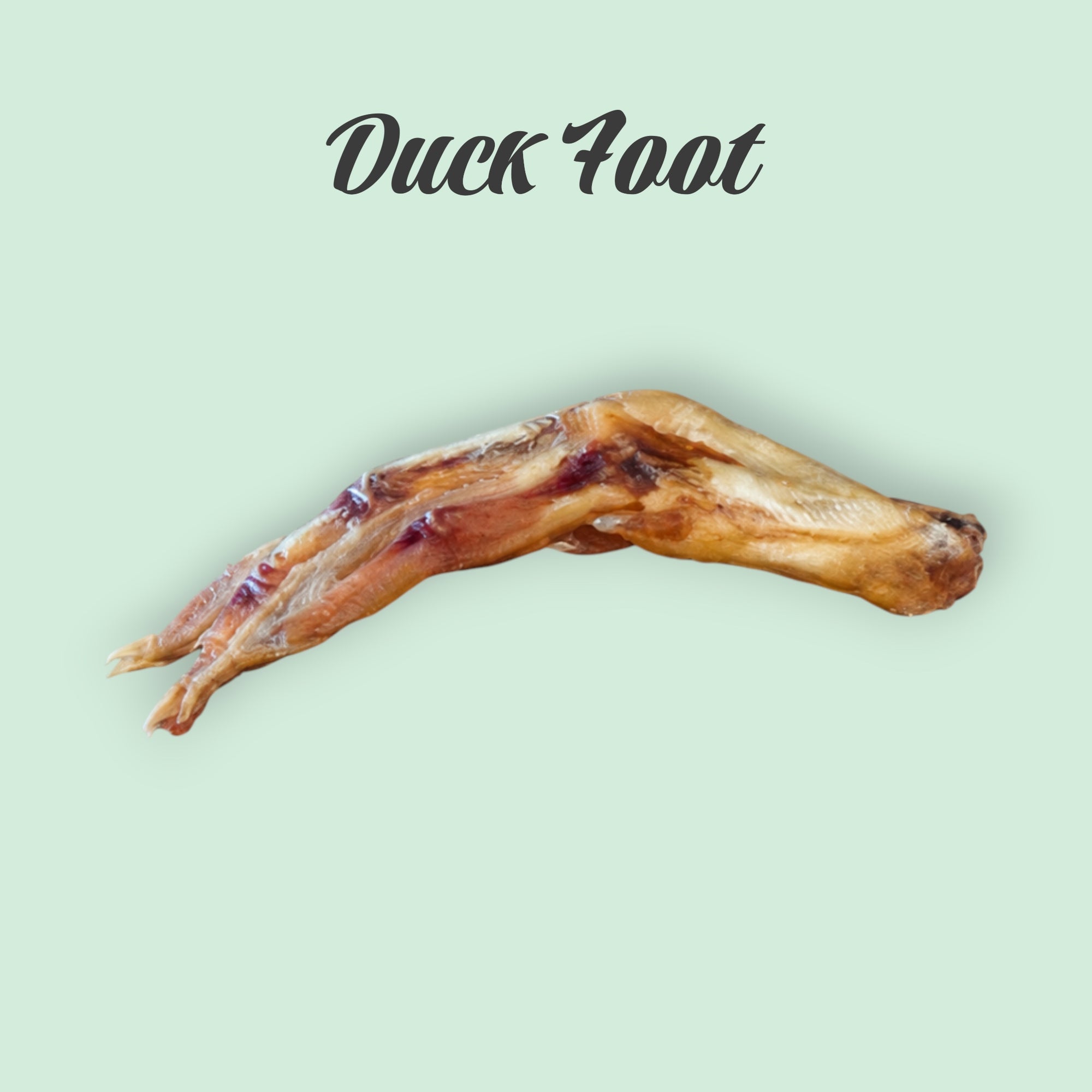Pet Power Studio dehydrated duck foot dog chew, a natural, pasture-raised protein treat for dental health.