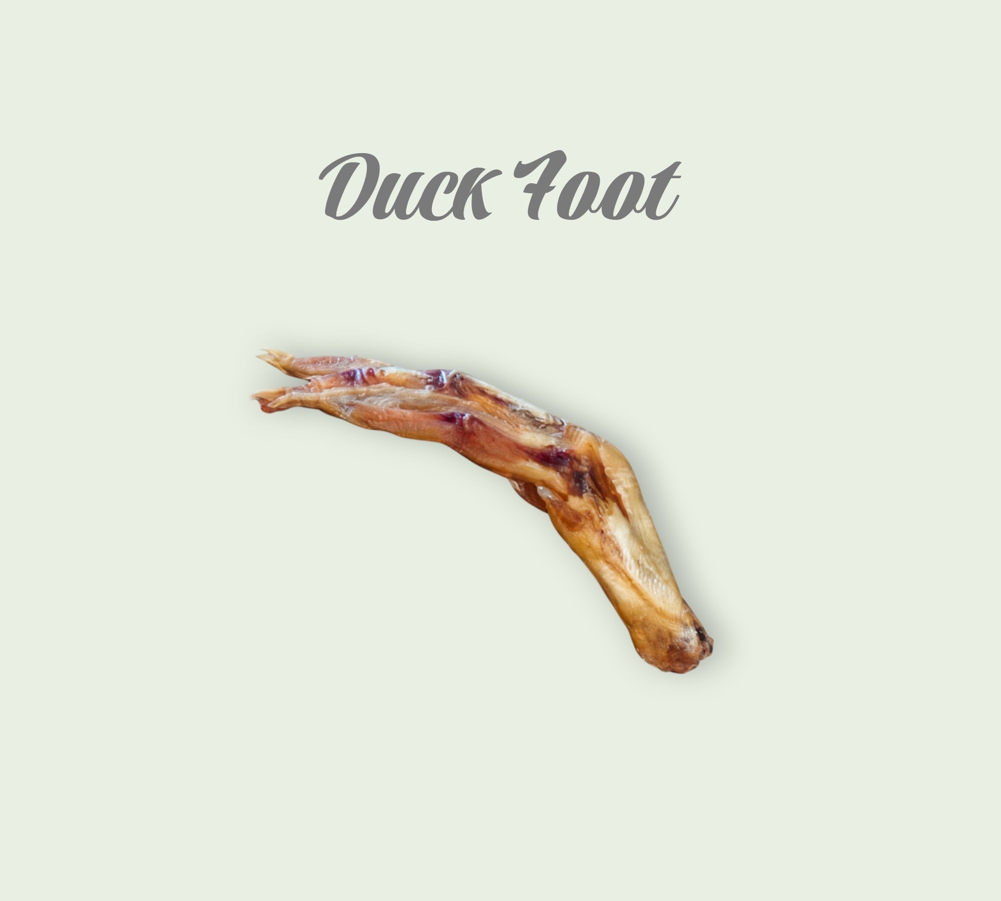 Pet Power Studio dehydrated duck foot dog chew, a natural, pasture-raised protein treat for dental health.
