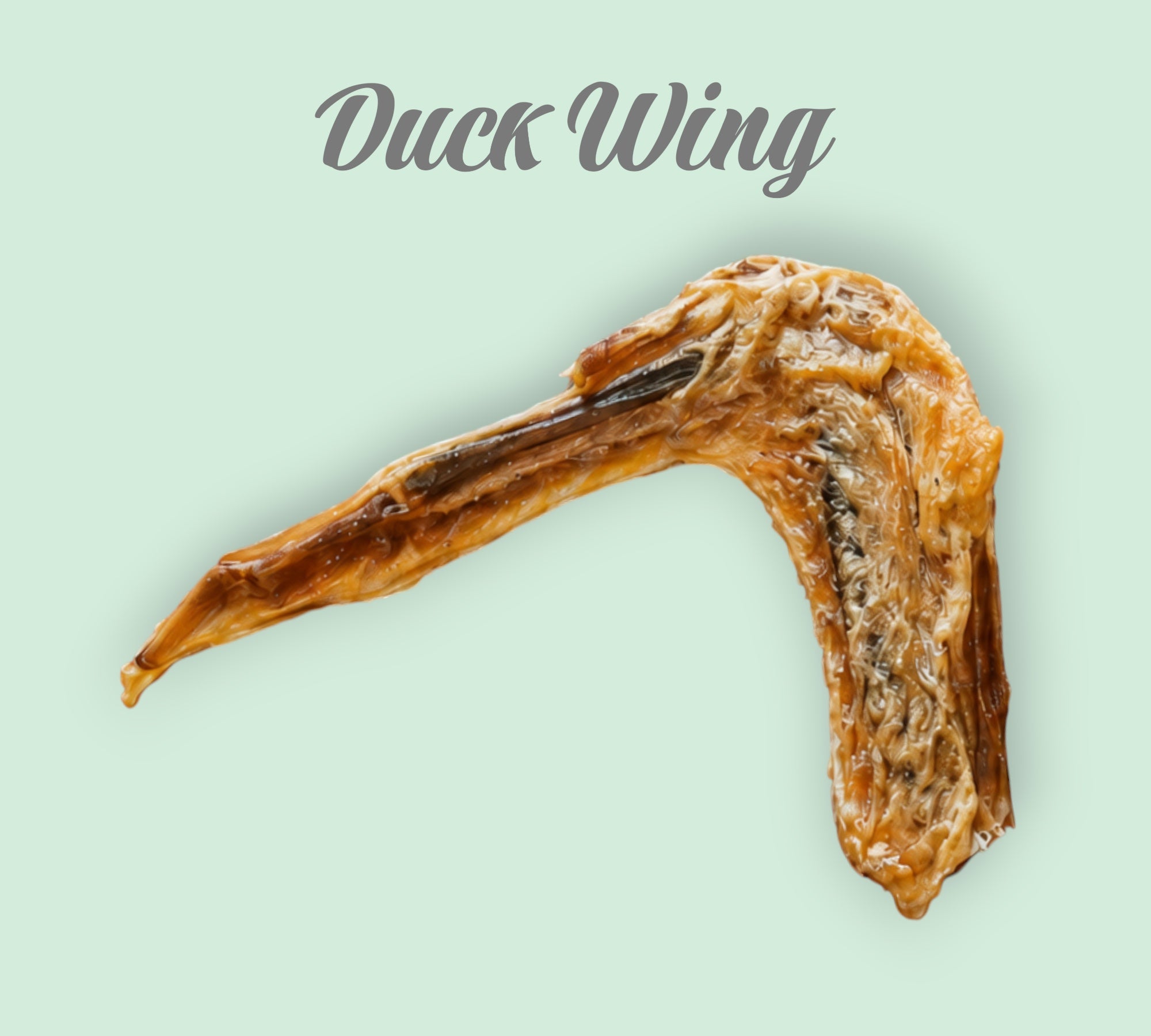 Pet Power Studio dehydrated duck wing dog chew, a natural, protein-rich treat for dental health.