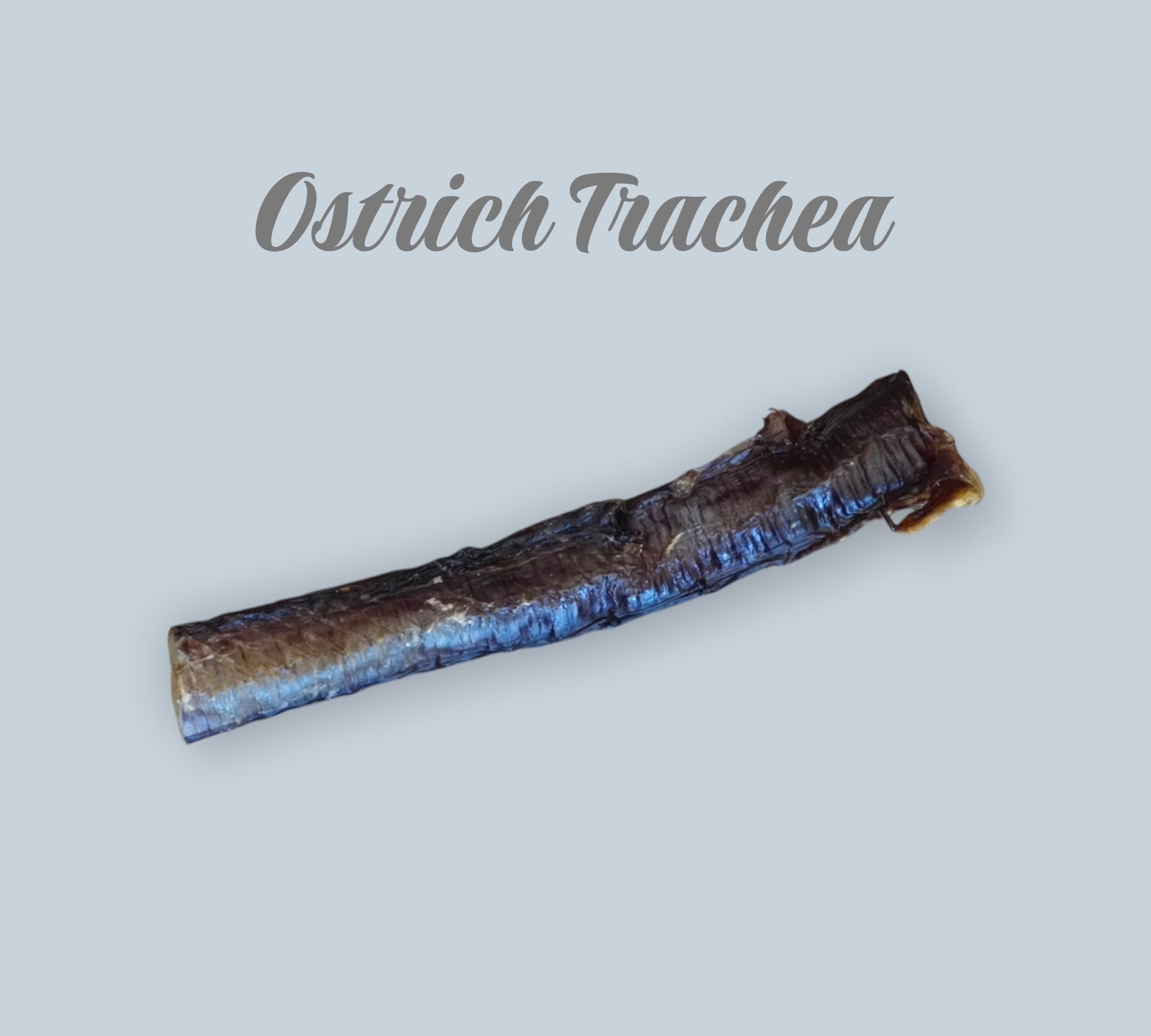 Pet Power Studio dehydrated ostrich trachea dog chew, a natural, high-protein, and crunchy single-ingredient treat.