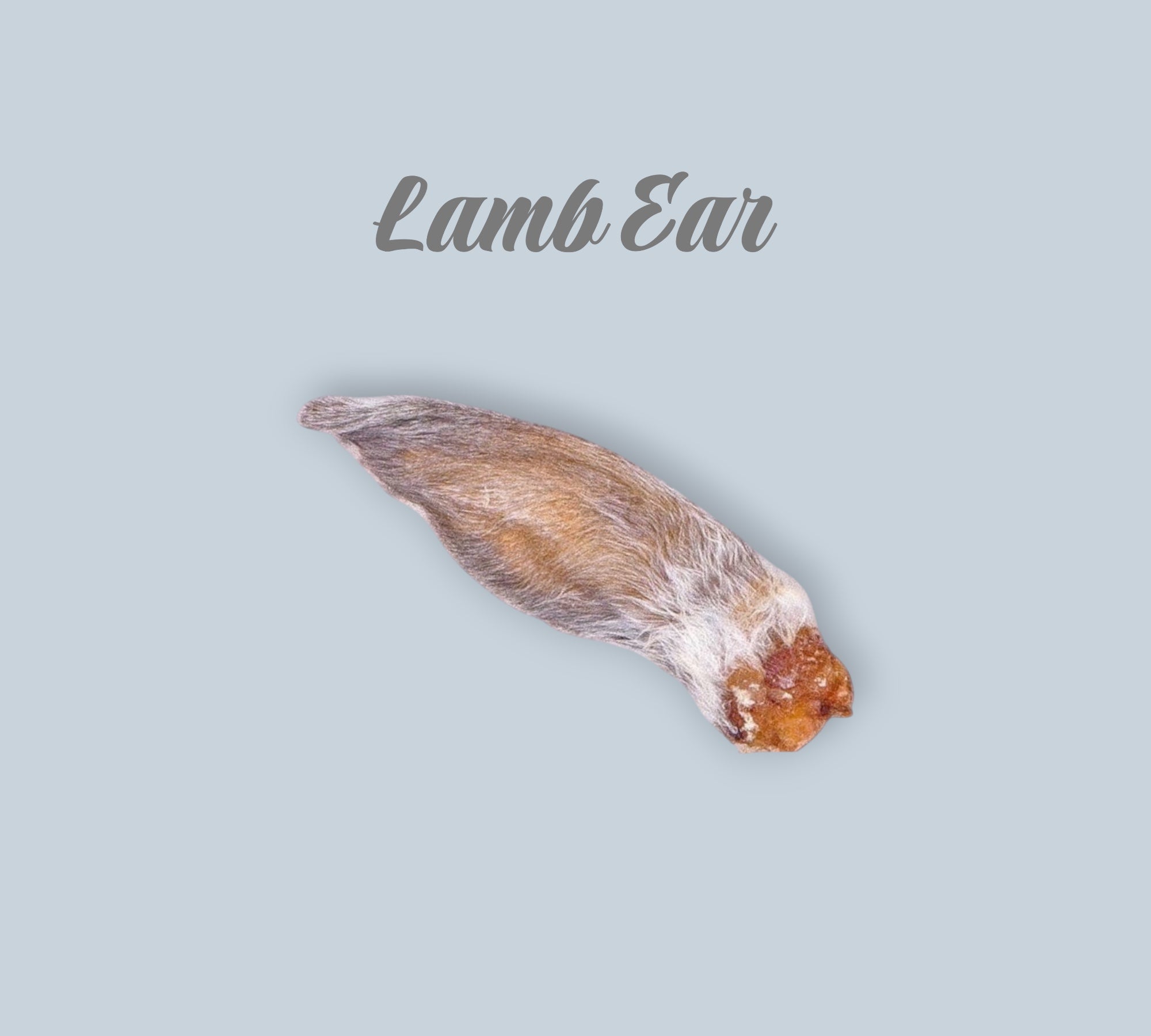 Pet Power Studio natural dried lamb ear dog chew treat rich in vitamins and minerals