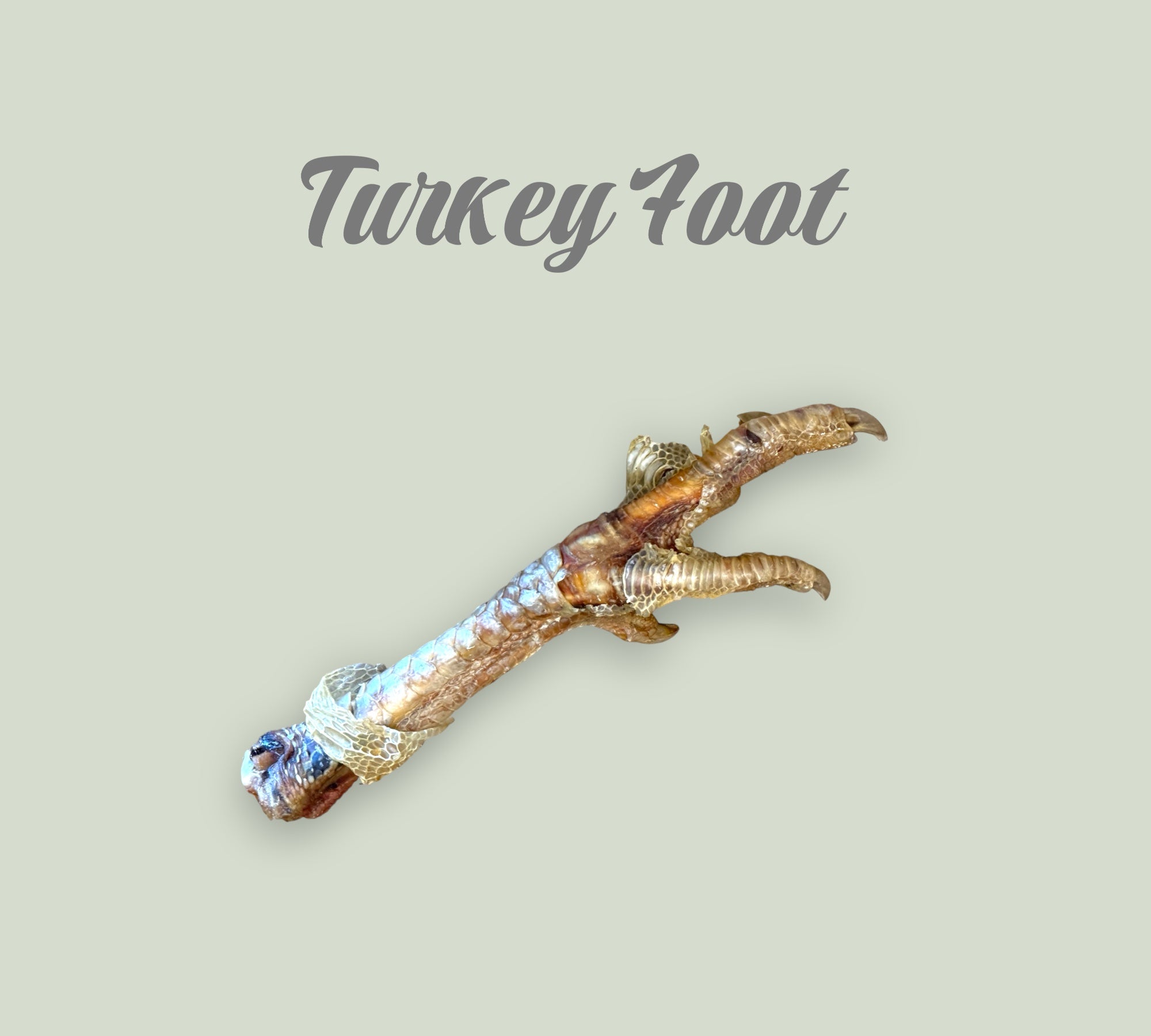 Pet Power Studio natural dried turkey foot dog chew for dental health and nutrition