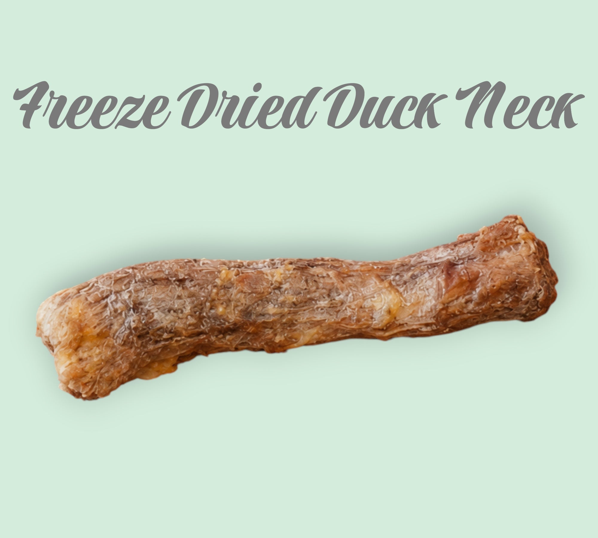 Pet Power Studio natural duck neck dog treat for dental health on an orange background