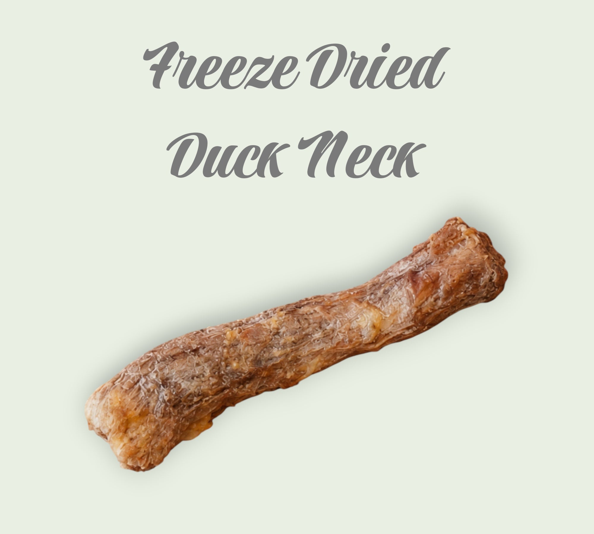 Pet Power Studio natural duck neck dog treat for dental health on an orange background