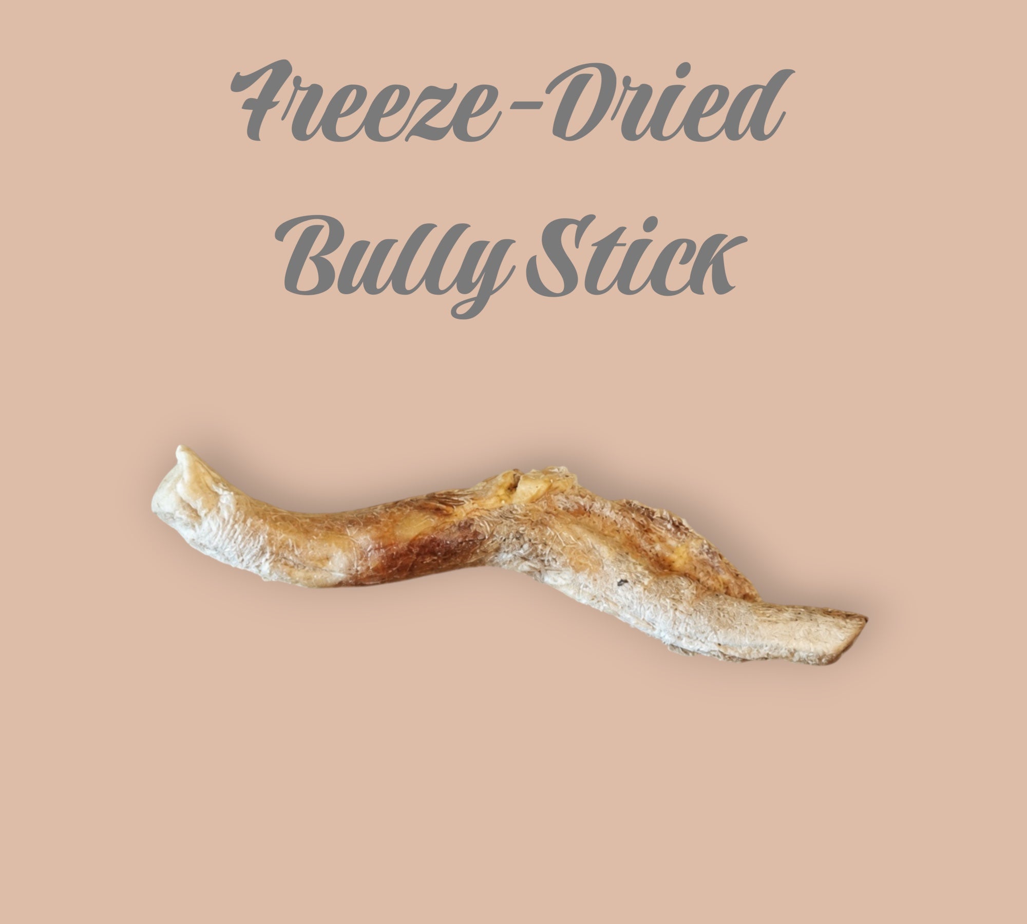 Pet Power Studio freeze-dried bully stick dog chew with a natural textured surface on a light brown background