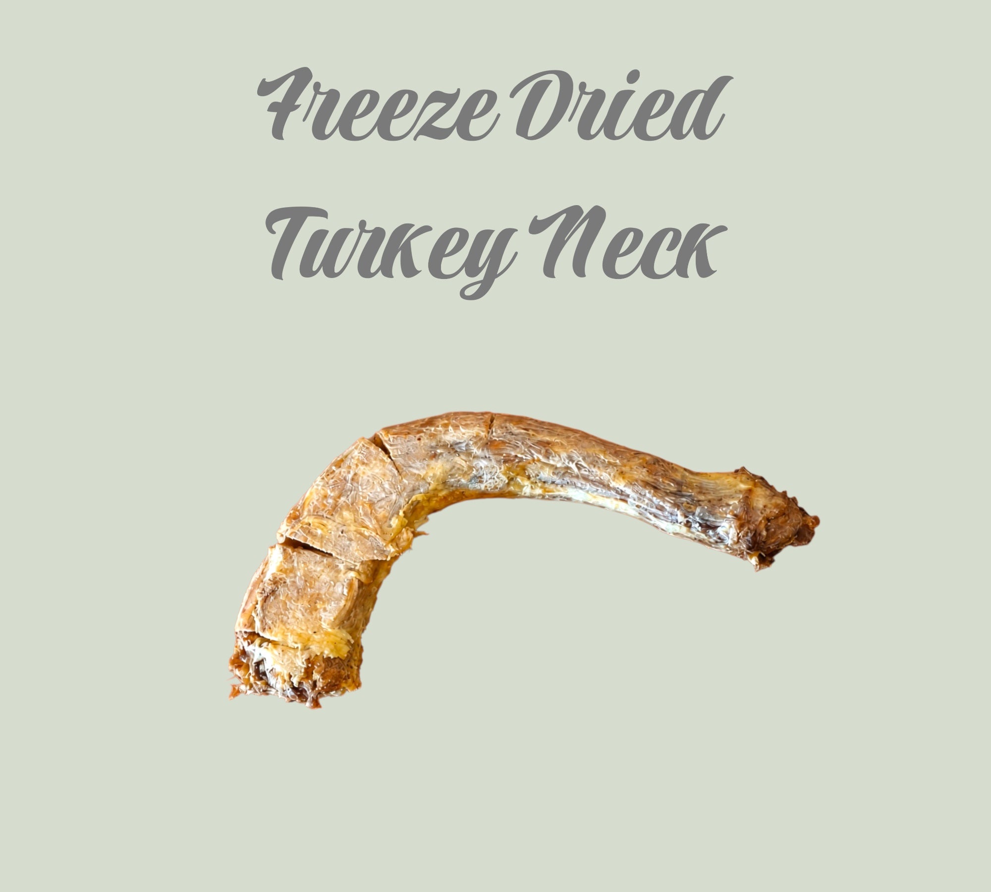 Pet Power Studio freeze-dried turkey neck dog treat for dental health and protein