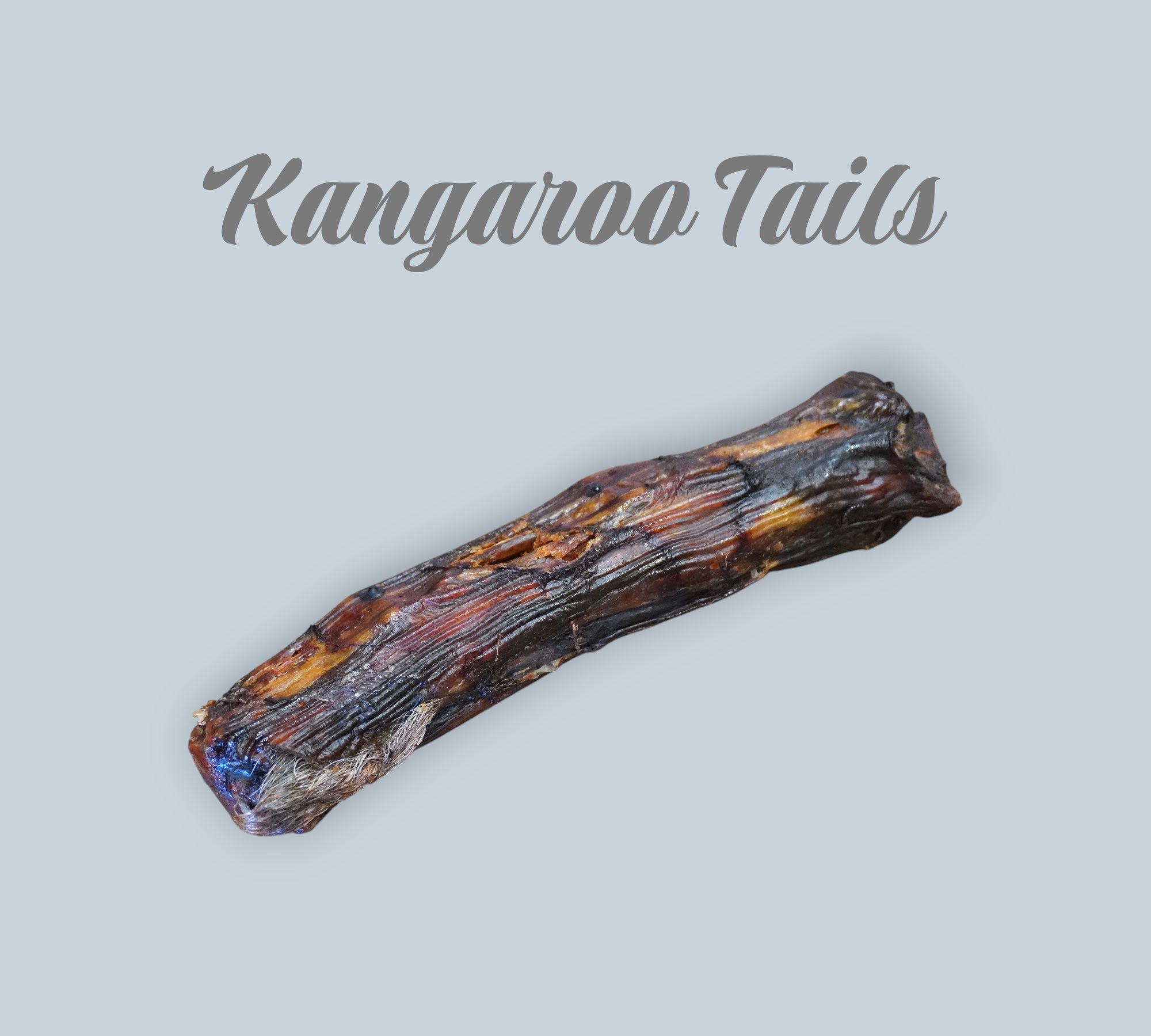 Pet Power Studio Kangaroo ROO Tails, a lean, natural, and sustainably sourced dog chew treat for sensitive dogs.