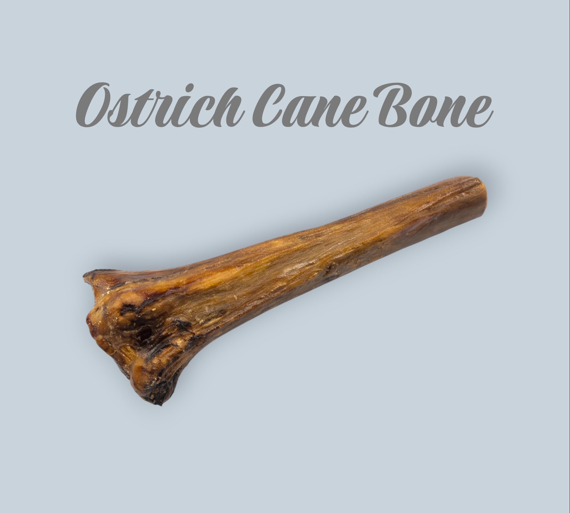 Pet Power Studio 10-inch natural ostrich cane bone dog chew, a dense and durable long-lasting treat for pets.