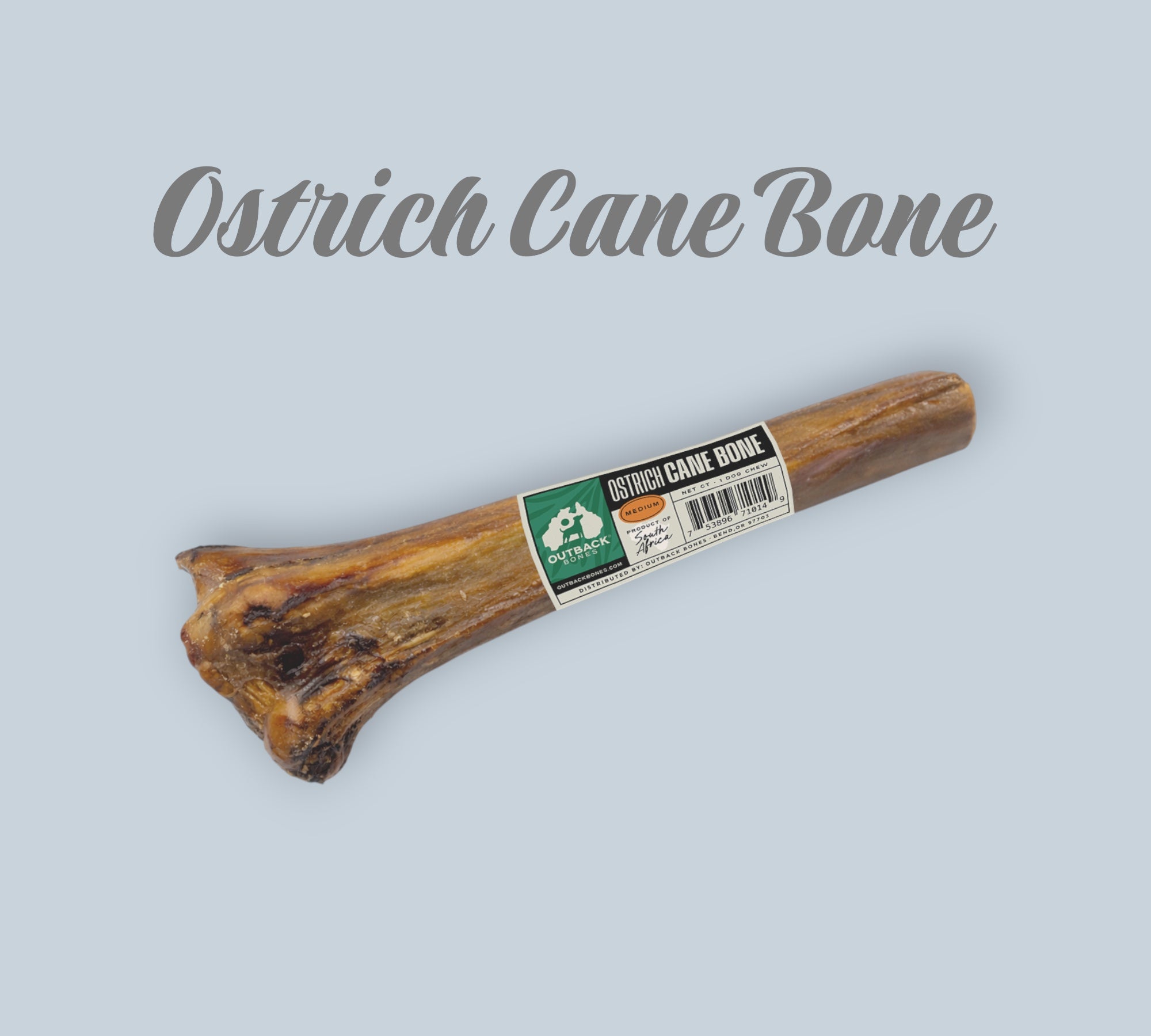 Pet Power Studio 10-inch natural ostrich cane bone dog chew with product label on a light blue background.