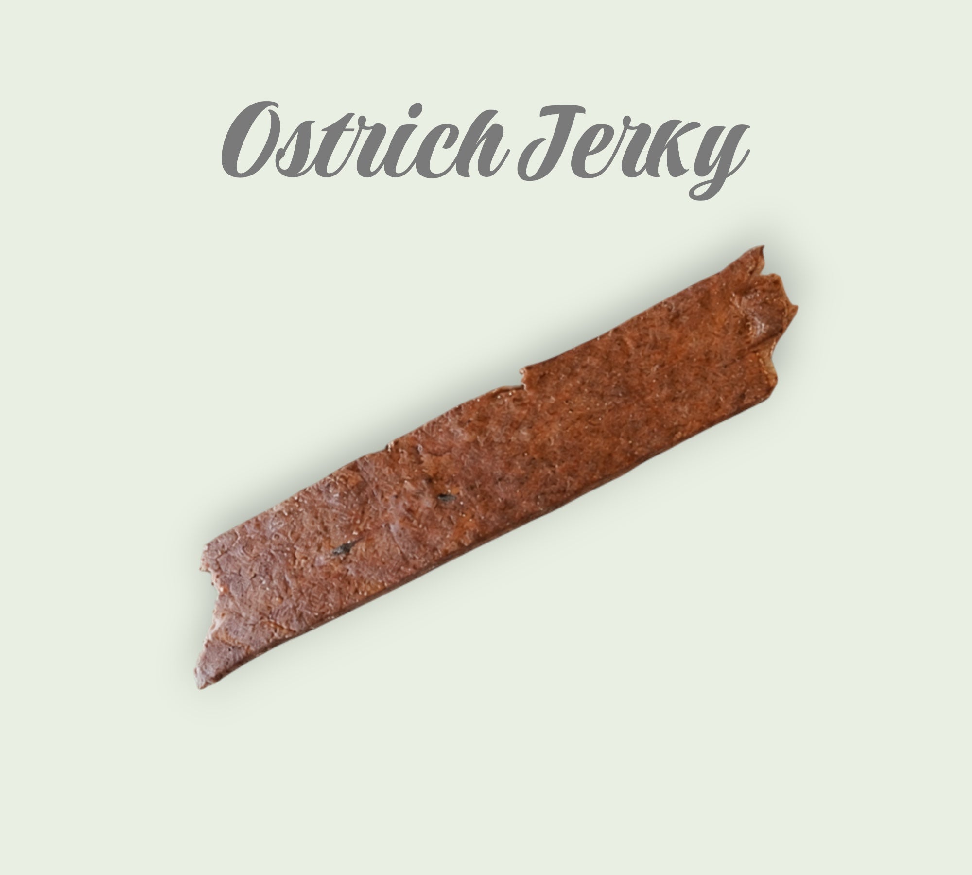 Pet Power Studio Ostrich Jerky dog treat, a single flat brown strip of dried meat on a light green background.