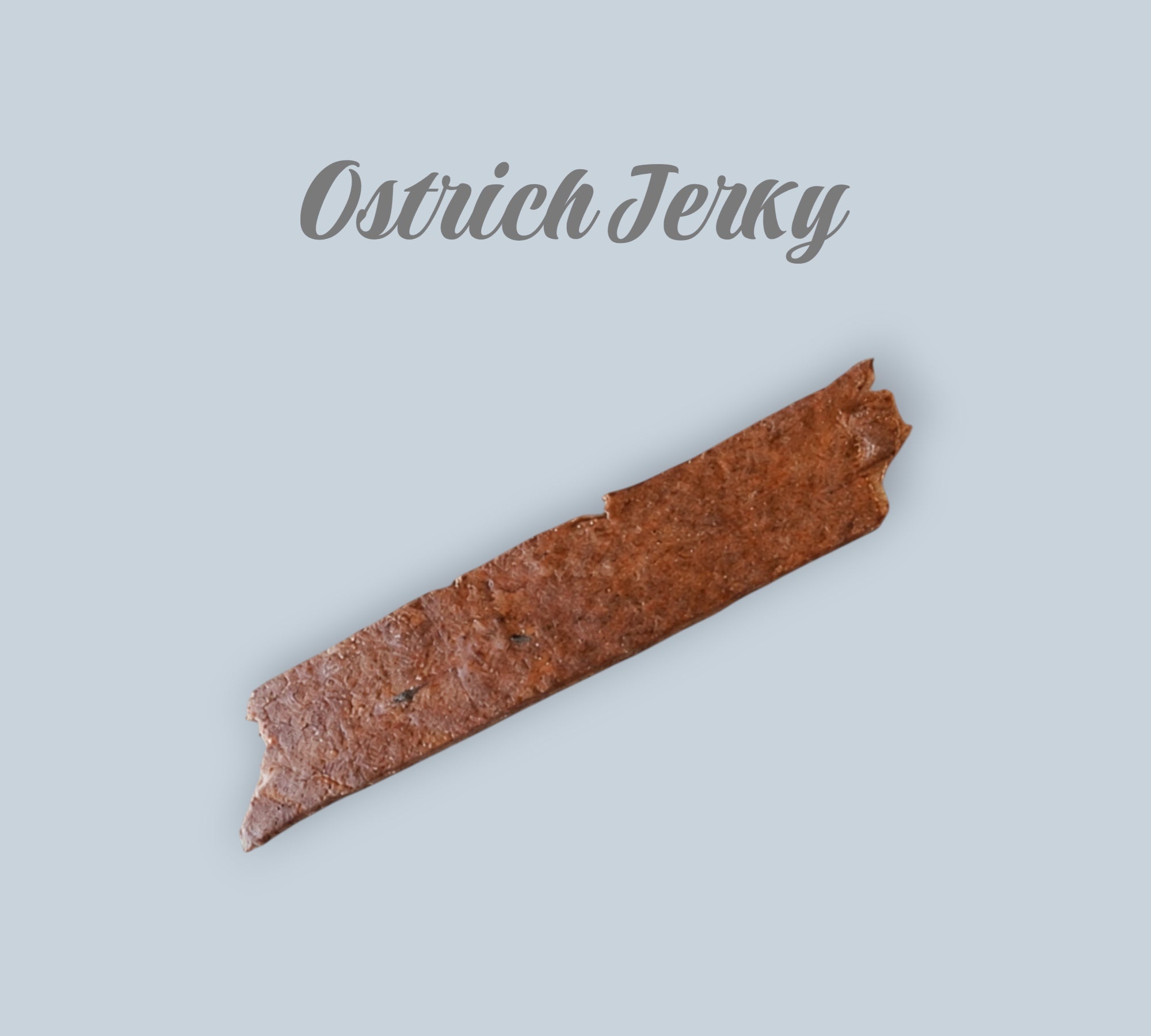 Pet Power Studio Ostrich Jerky dog treat, a single flat brown strip of dried meat on a light green background.