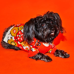 
            
                Load image into Gallery viewer, Ware of the Dog Sweater
            
        