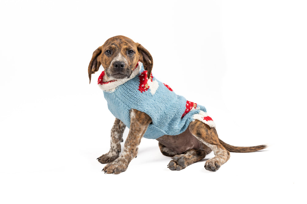 CHILLY DOG LLC - Mushroom Sweater - M