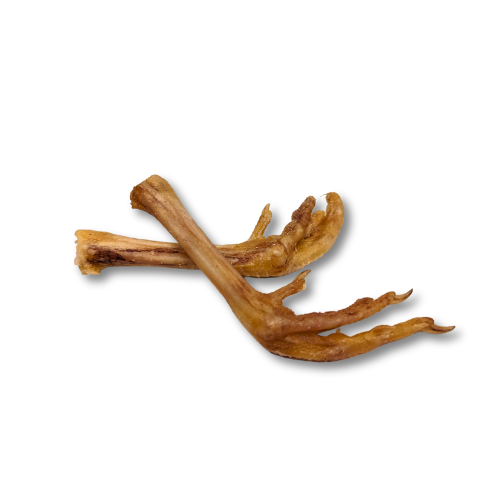 Dehydrated Pheasant Foot