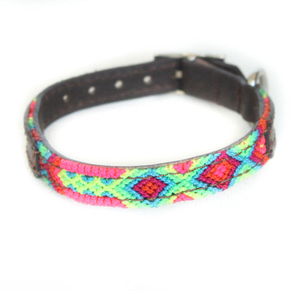 
            
                Load image into Gallery viewer, Eclectic Array Neon Extra Small Slim Collar
            
        
