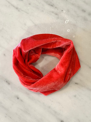 Wixom's Whimsies Dog Infinity Scarf - Coral
