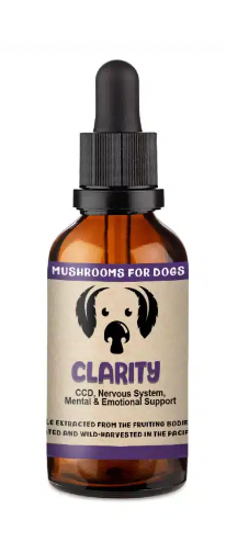 MycoDog- Mushroom Tincture- Clarity (1oz, 2oz)