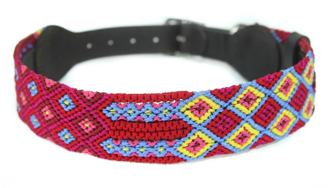 Eclectic Array Mai Tai Small Wide Collar