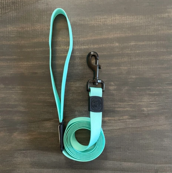 Wilderdog Waterproof Seafoam Leash