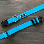 Wilderdog Waterproof Teal Collar