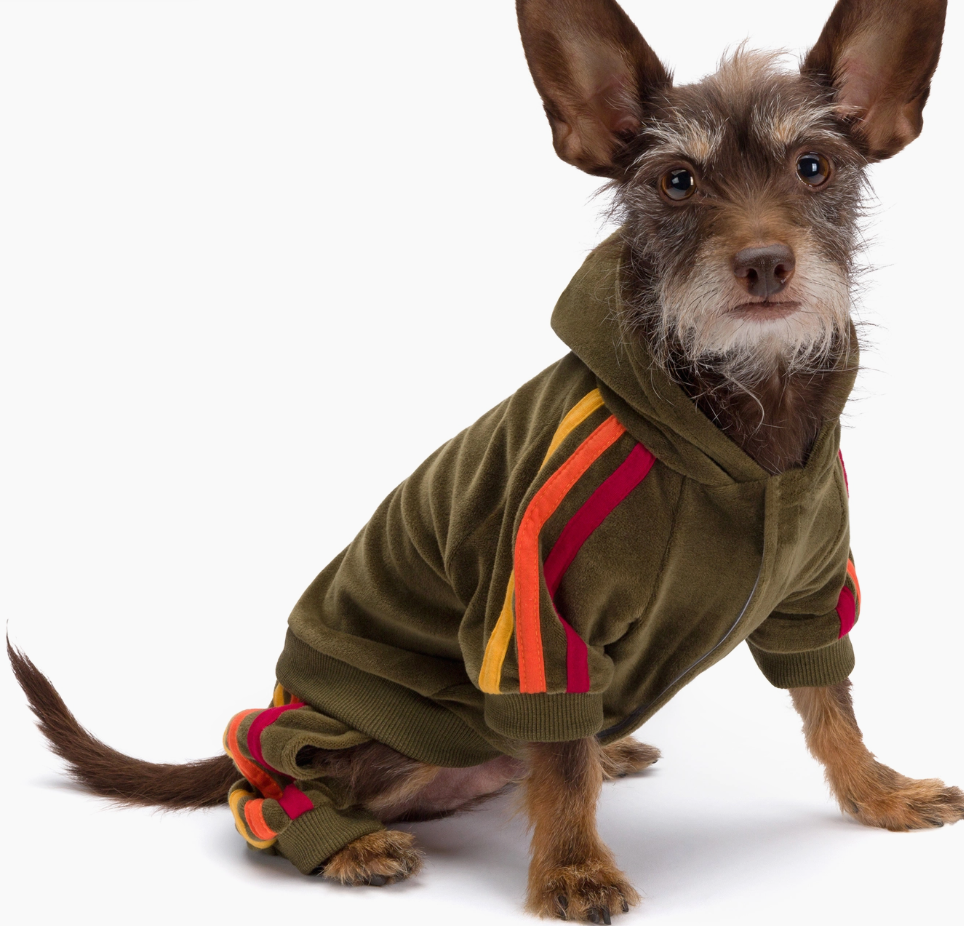 fabdog - Olive Velour Dog Jogger